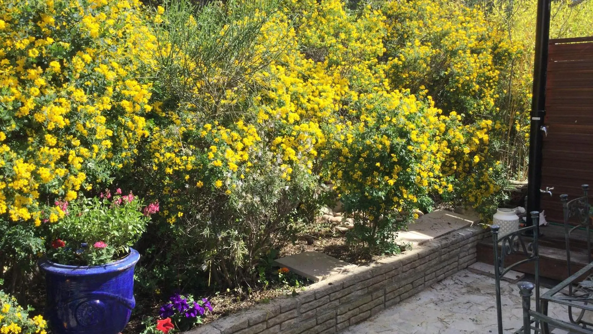 Bastidon Provencal Dans Domaine Naturiste Bédoin