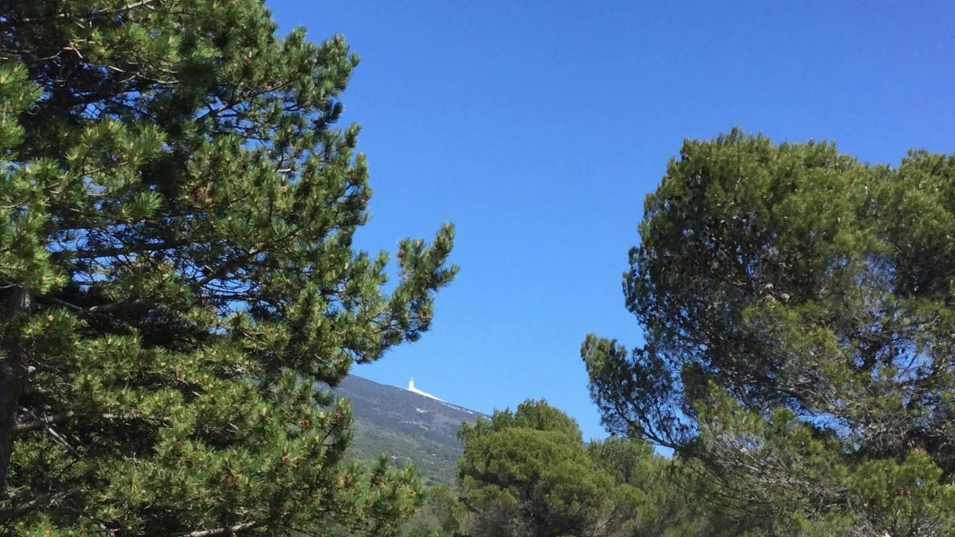 Holiday home Bastidon Provencal Insolite Bedoin